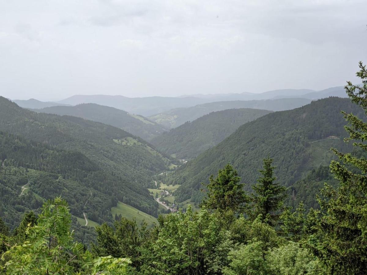 Schwarzwaldglueck Διαμέρισμα Schluchsee Εξωτερικό φωτογραφία
